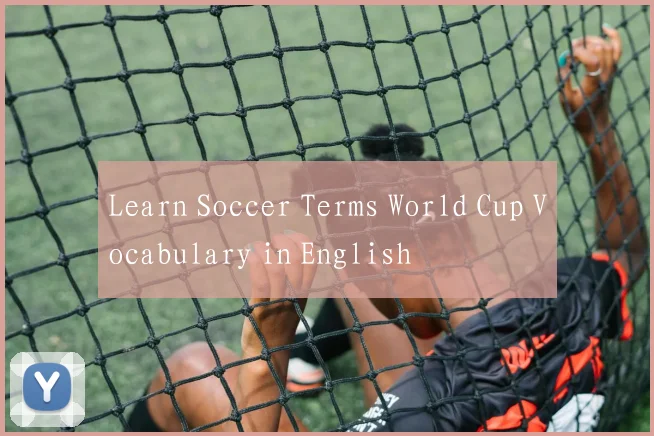 Learn Soccer Terms World Cup Vocabulary in English