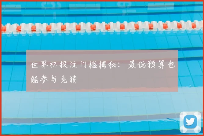 世界杯投注门槛揭秘:最低预算也能参与竞猜