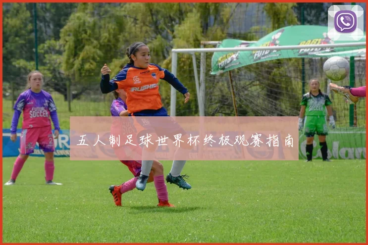 五人制足球世界杯终极观赛指南