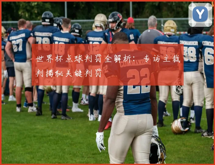 世界杯点球判罚全解析：专访主裁判揭秘关键判罚