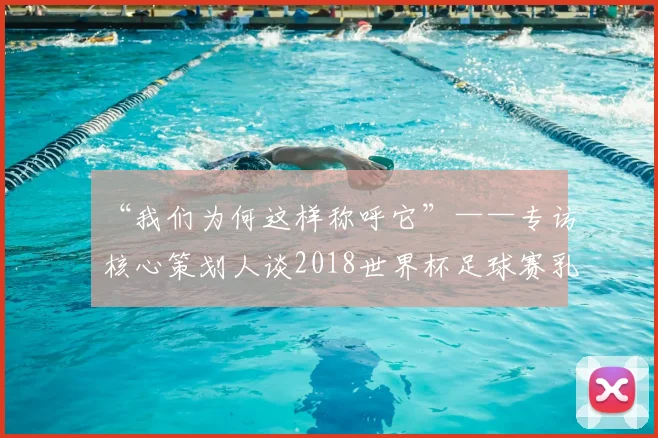 “我们为何这样称呼它”——专访核心策划人谈2018世界杯足球赛乳名