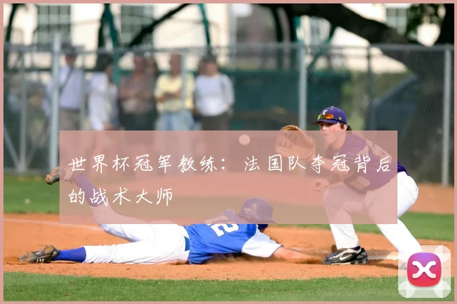 世界杯冠军教练：法国队夺冠背后的战术大师