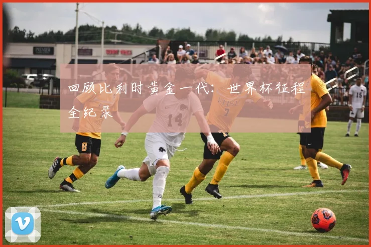 回顾比利时黄金一代：世界杯征程全纪录