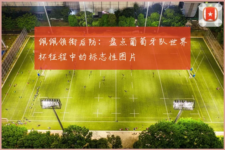 佩佩领衔后防：盘点葡萄牙队世界杯征程中的标志性图片
