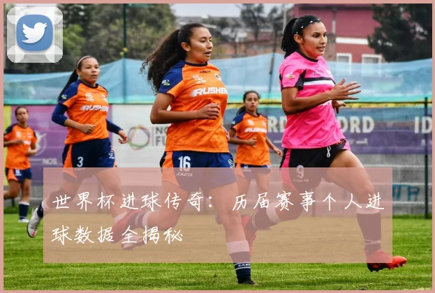 世界杯进球传奇：历届赛事个人进球数据全揭秘